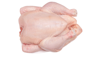 Frozen-Griller-Chicken-Halal-from-Brazil.png