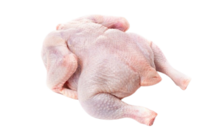 Sadia-Whole-Chicken-Halal-from-Brazil.png